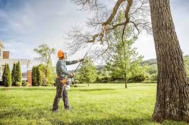 Lawn Watering Services in Chantilly, VA