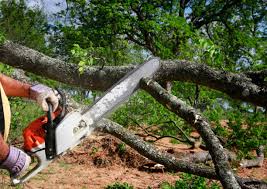 Best Soil Testing and Treatment  in Chantilly, VA